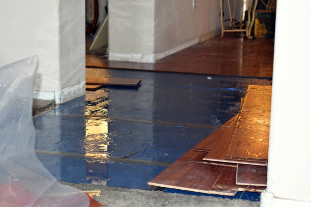 Professional Sewage Cleanup technician working in Sargent, TX